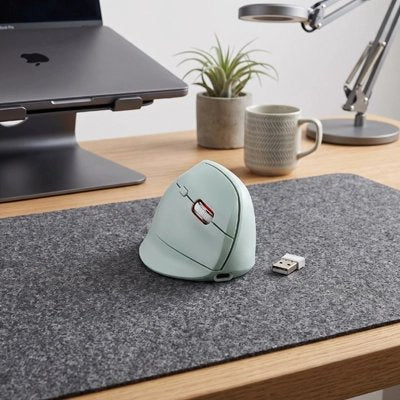 Souris ergonomique sans fil