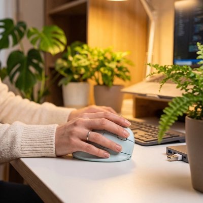 Souris ergonomique sans fil
